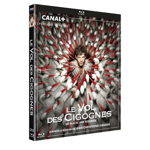 Le vol des cigognes