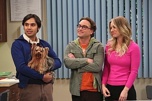 The Big Bang Theory