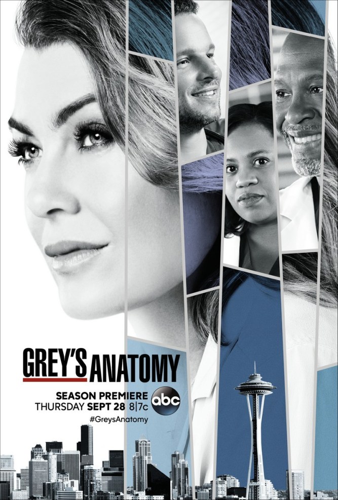 grey's anatomy s14